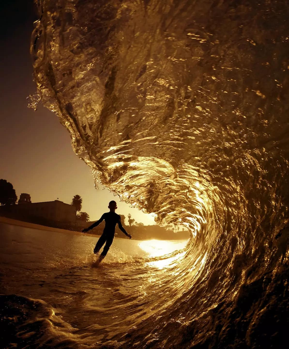 shane-stagner-mdS-6oNgRXc-unsplash