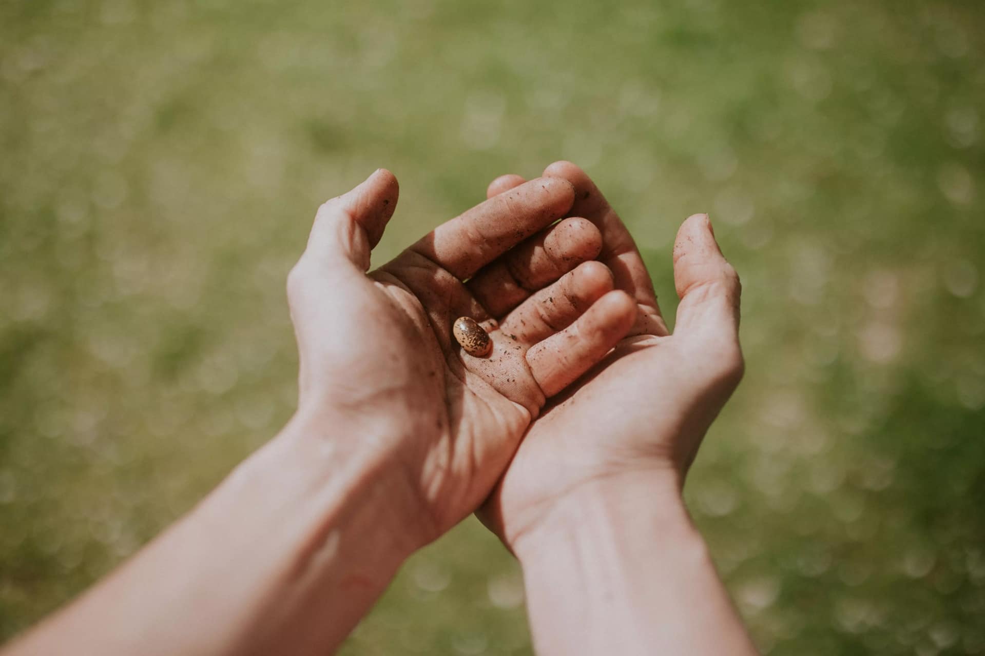 tucker-tangeman-snxrah8paq4-unsplash